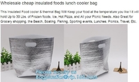 environmental friendly non-woven picnic lunch box thermal insulation package bag,Customized hot sale thermal insulation