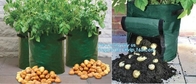 garden plant/ patato/vegetable grow bags,2gallon hotsales fabric pots grow bags for plant flower grow bag plant potato o