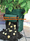 potato planter with 7/10 gallon potato planter,potato grow pots with handles flap for easy havesting, and drainage holes