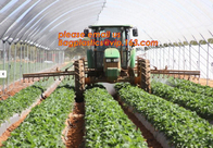 Agriculture silver black plastic mulch film 8 micron,Reflective and Protective White and Black Color Panda Agricultural